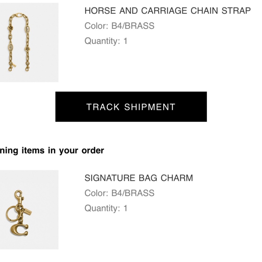 Coach Gold Chain Strap and Bag Charm